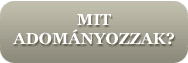 Mit jelent a virtuális örökbefogadás?