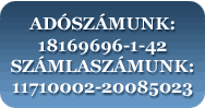 Számlaszám és adószám